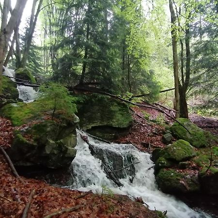 La Fortance Paradis Naturel - Proche de la ville Planfoy Extérieur photo