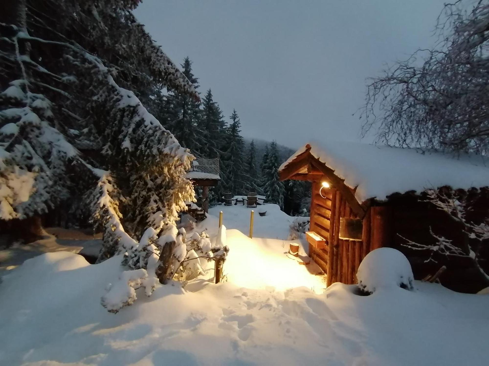 La Fortance Paradis Naturel - Proche de la ville Planfoy Extérieur photo