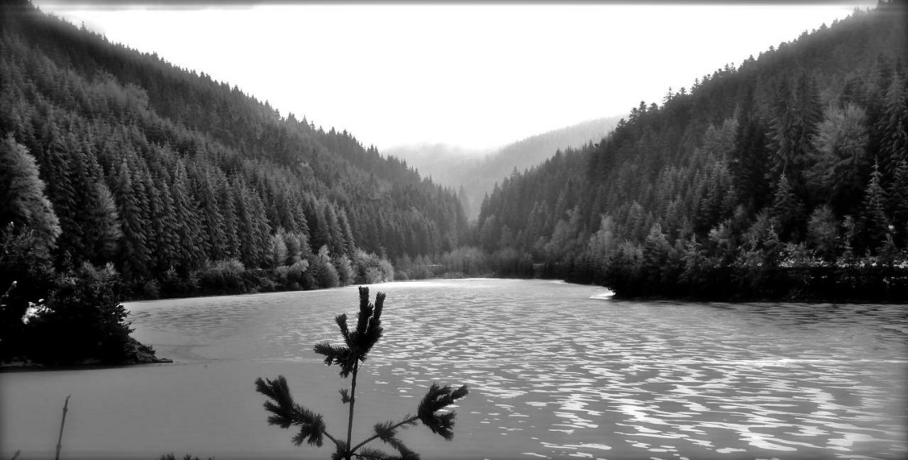 La Fortance Paradis Naturel - Proche de la ville Planfoy Extérieur photo